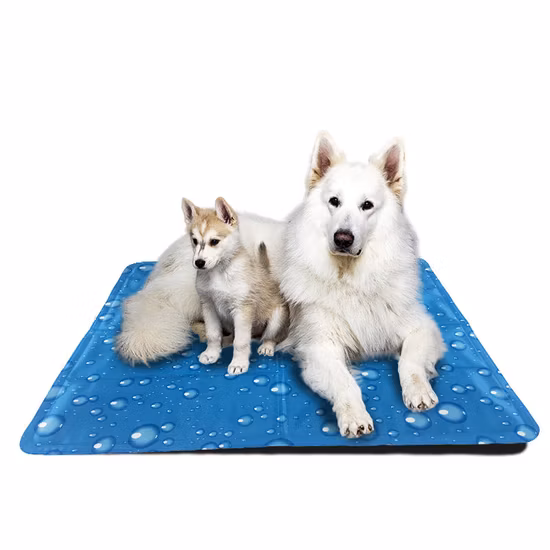 50X65cm 방수 스크래치